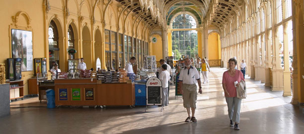 Mari�nsk� L�zn�