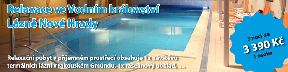 Wellness ve v�edn� dny